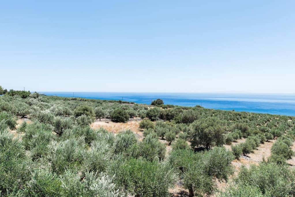 Villa Olvia Sfakia Luaran gambar